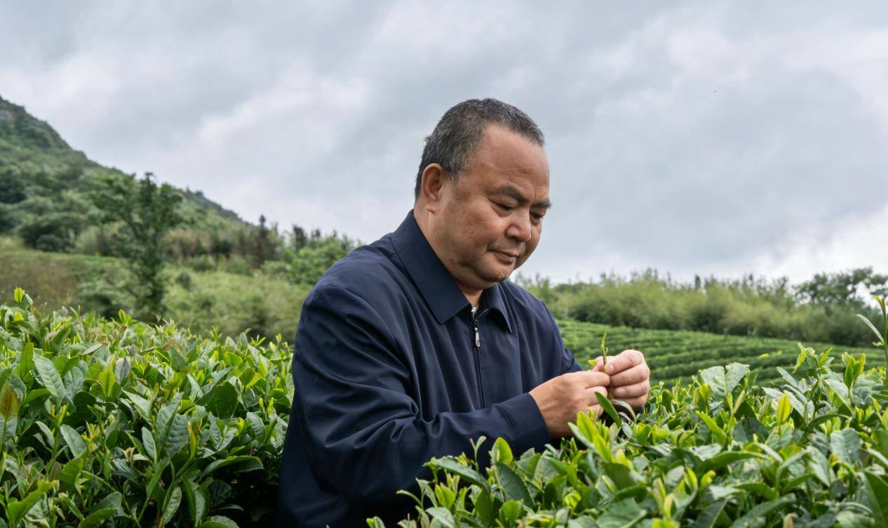 以茶为媒，答好开局之年的时代问卷——访茶文化研究与传播者罗大友先生